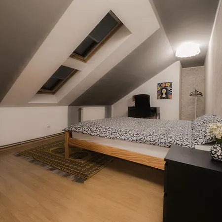 Spacious - Families & Groups - Free Parking * Kluż-Napoka