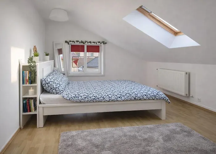 Апартаменти Spacious - Families & Groups - Free Parking Клуж-Напока